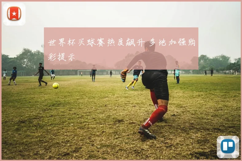 世界杯买球赛热度飙升 多地加强购彩提示