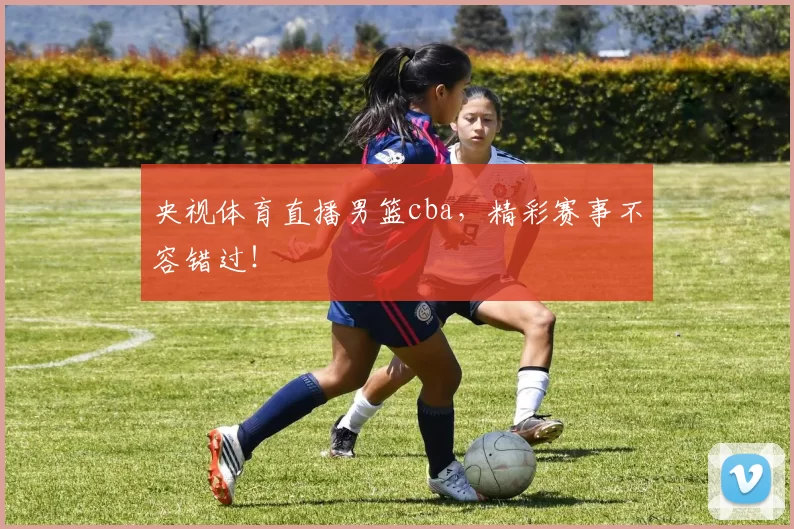 央视体育直播男篮cba，精彩赛事不容错过！