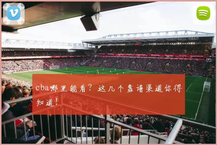 cba哪里能看？这几个靠谱渠道你得知道！