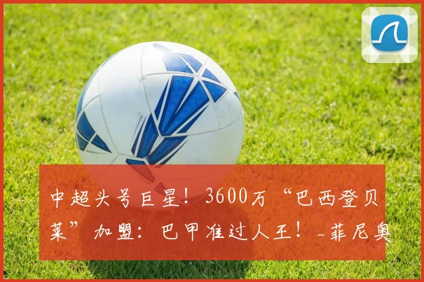 中超头号巨星！3600万“巴西登贝莱”加盟：巴甲准过人王！_菲尼奥_赛季_球迷