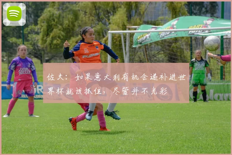 佐夫：如果意大利有机会递补进世界杯就该抓住，尽管并不光彩