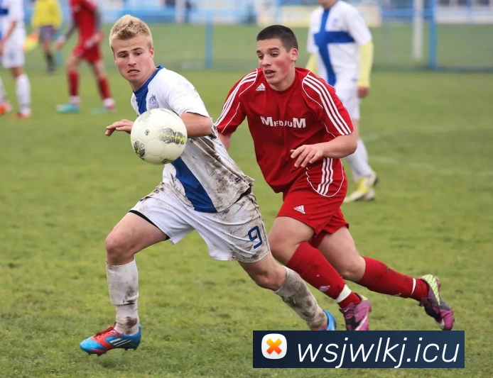 九游官方网页版 - 九游(中国)APP 封面图